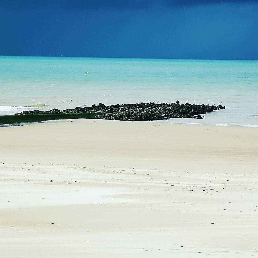 Fleuri Westende Daire Middelkerke Dış mekan fotoğraf
